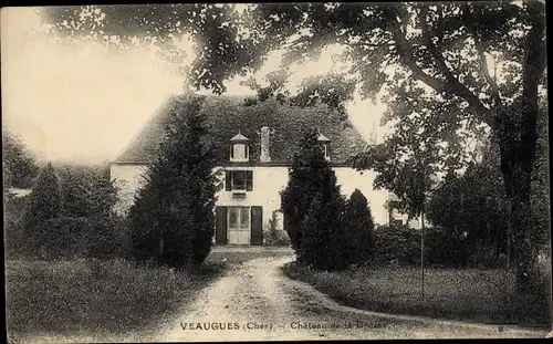 Ak Veaugues Cher, Le Chateau de la Brosse