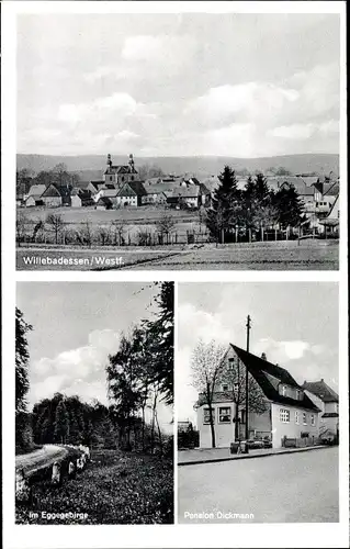 Ak Willebadessen in Westfalen, Panorama, Eggegebirge, Pension Dickmann