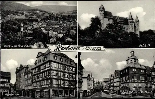 Ak Herborn im Lahn Dill Kreis, Markt, Rathaus, Schloß, Blick vom Dollenberg