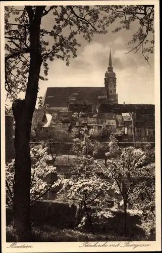 Ak Bautzen, Blick auf die Petrikirche, Feuergasse, Bäume, Dächer, Glockenturm