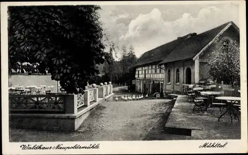 Ak Eisenberg in Thüringen, Waldhaus Naupoldsmühle