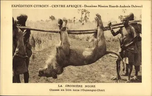 Ak L'Oubangui Chari Zentralafrikanische Republik, Croisiere Noire, Chasse au lion, Mission Haard