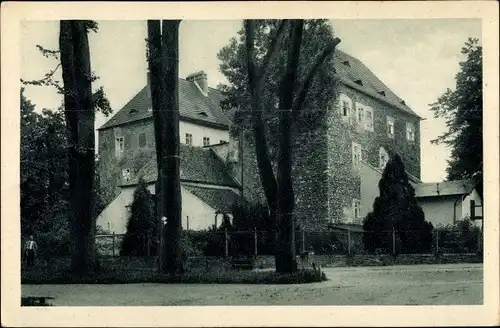 Ak Jeseník Frývaldov Freiwaldau Region Olmütz, Schloss, Altvatergebirge