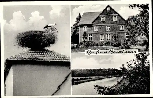 Ak Brockhausen Lingen, Blick zum Haus, Storchennest