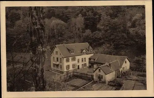 Ak Auerbach Bensheim an der Bergstraße Hessen, Hof Mühltal, Vogelschau