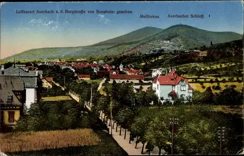 Ak Auerbach Bensheim an der Bergstraße Hessen, Gesamtansicht, Melibokus, Auerbacher Schloss