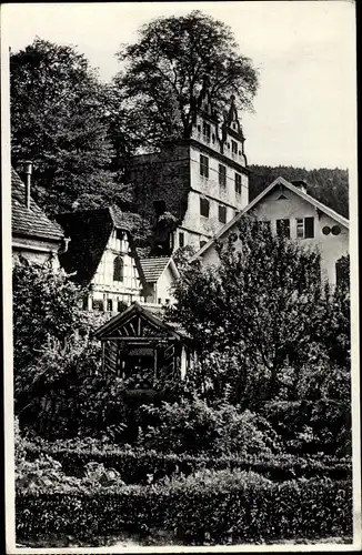 Ak Hirsau Calw im Schwarzwald, Schlossruine mit Ulme