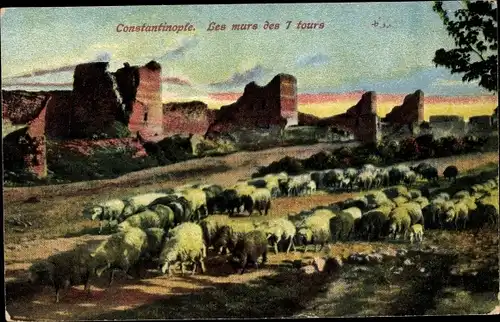 Ak Konstantinopel Istanbul Türkei, Les murs des 7 tours, Schafherde