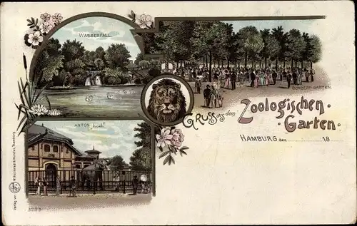 Litho Hamburg Mitte , Zoologischer Garten, Wasserfall, Elefant Anton, Wasserfall, Konzertgarten