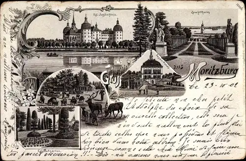 Litho Moritzburg in Sachsen, Königliches Jagdschloss, Leuchtturm, Hofgarten, Fasan Palais, Hirsche