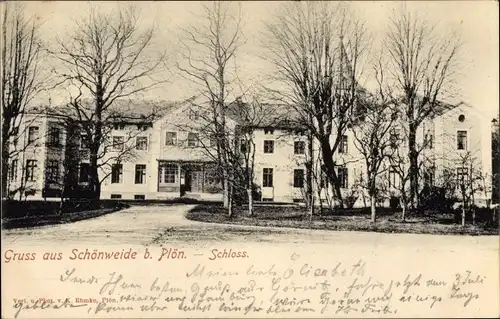 Ak Schönweide Grebin in Schleswig Holstein, Blick auf das Schloss