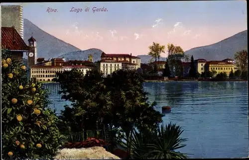 Ak Riva del Garda Trentino, Teilansicht der Stadt, Zitronenbaum