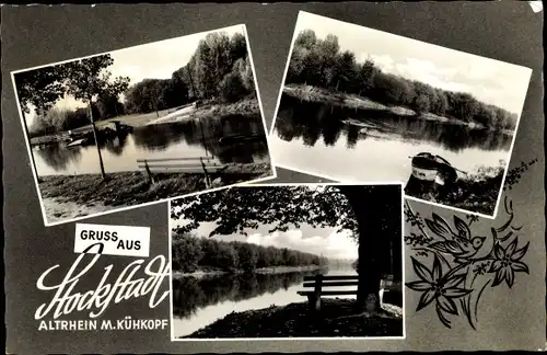 Ak Stockstadt am Rhein Hessen, Altrhein, Kühkopf