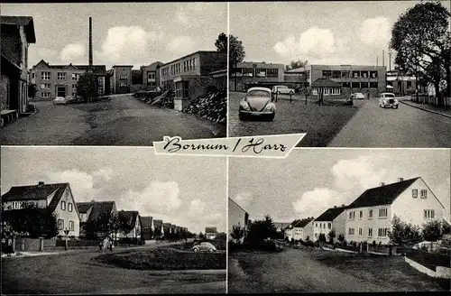 Ak Bornum Börßum am Harz, Detailansichten