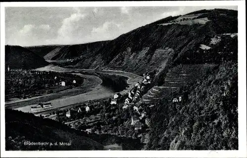 Ak Brodenbach an der Terrassenmosel, Gesamtansicht