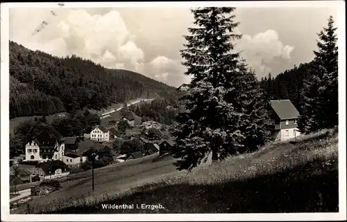 Ak Wildenthal Eibenstock im Erzgebirge, Teilansicht