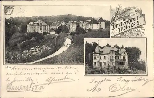 Ak Trois Épis Drei Ähren Elsass Haut Rhin, Villa, Ortsansicht