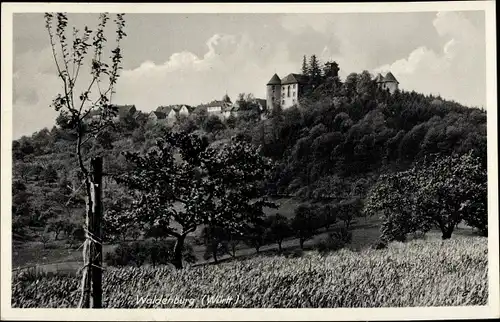 Ak Waldenburg in Württemberg, Burg