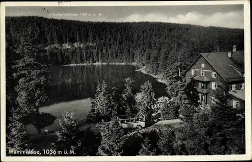 Ak Mummelsee Seebach im Schwarzwald Baden, Gasthaus, Autobus, Hornisgrindeturm