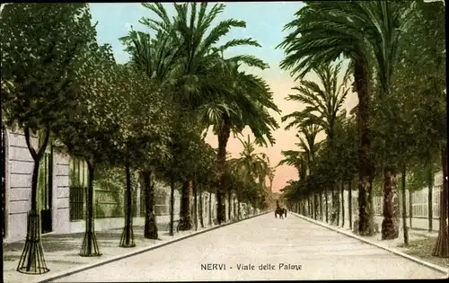 Ak Nervi Genova Genua Liguria, Viale delle Palme, Palmenallee