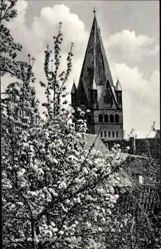 Ak Soest in Nordrhein Westfalen, Dom im Frühjahr