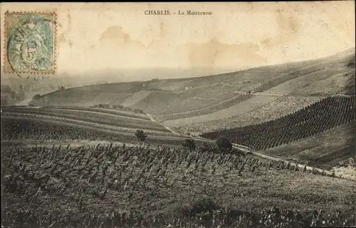 Ak Chablis Yonne, La Moutonne, Landschaft