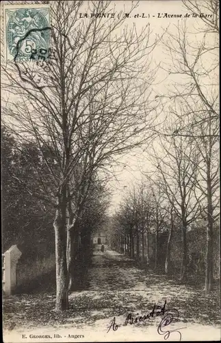 Ak La Pointe Bouchemaine Maine et Loire, L'Avenue de la Gare