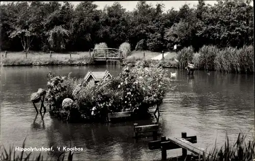 Ak Hippolytushoef Nordholland, 't Kooibos