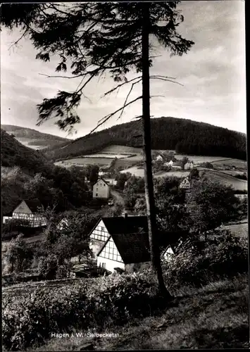 Ak Hagen in Westfalen, Selbecketal