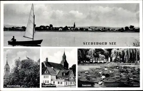 Ak Seeburg im Eichsfeld Nieders., Seeburger See, Segelboot, Storchennest, Jugendherberge, Seerosen
