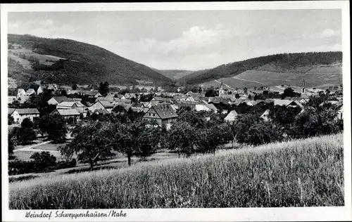 Ak Schweppenhausen Rheinland-Pfalz, Panorama