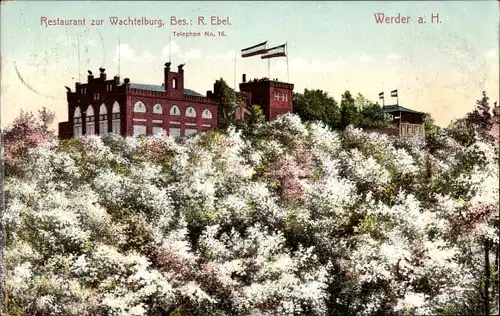 Ak Werder an der Havel, Restaurant zur Wachtelburg