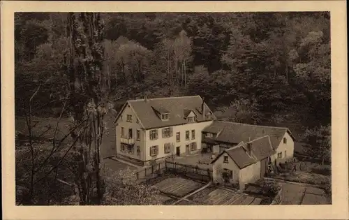 Ak Auerbach Bensheim an der Bergstraße Hessen, Hof Mühltal, Vogelschau