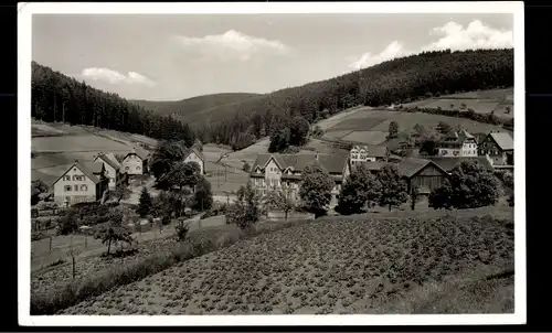 Ak  Gompelscheuer Enzklösterle im Schwarzwald, Gasthof zum Enzursprung, Th. Vogt, Blick auf den Ort