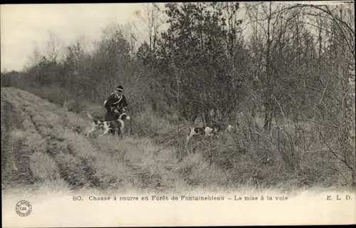 Ak Fontainebleau Seine et Marne, Chasse a courre en Foret de Fontainebleau, la mise a la voie