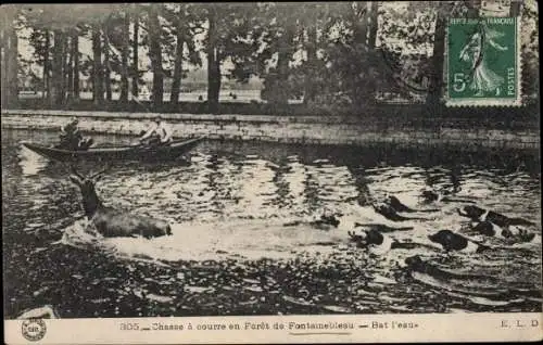 Ak Fontainebleau Seine et Marne, Chasse a courre en Foret de Fontainebleau, Bat l'eau