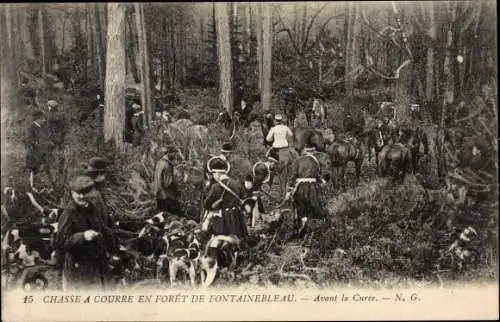 Ak Fontainebleau Seine et Marne, Chasse a courre en Foret de Fontainebleau, avant la Curee