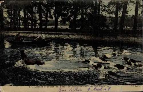 Ak Fontainebleau Seine et Marne, Chasse a courre en Foret de Fontainebleau, Bat l'eau