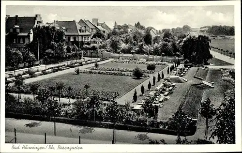 Ak Bad Hönningen am Rhein, Rosengarten