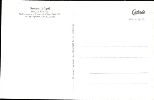 Ak Wildemann Clausthal Zellerfeld im Oberharz, Sonnenhügel