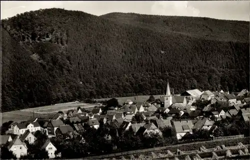 Ak Freienohl Meschede im Sauerland, Panorama