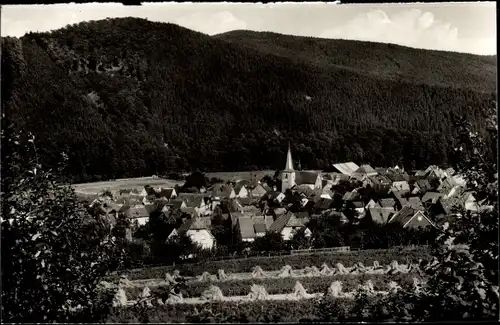 Ak Freienohl Meschede im Sauerland, Panorama