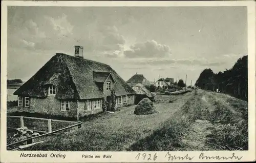 Ak Sankt Peter Ording in Nordfriesland, Partie am Wald, Reetdachhäuser