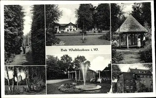 Ak Bad Waldliesborn Lippstadt in Westfalen, Wegepartie, Pavillon, Springbrunnen