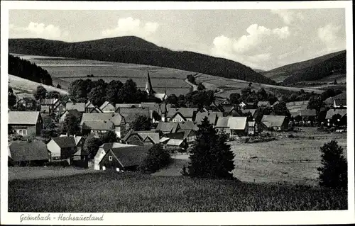 Ak Grönebach Winterberg im Sauerland, Panorama