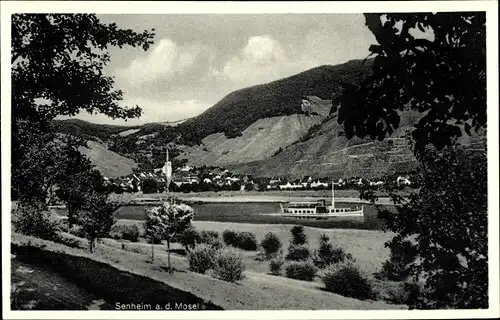 Ak Senheim an der Mosel, Panorama