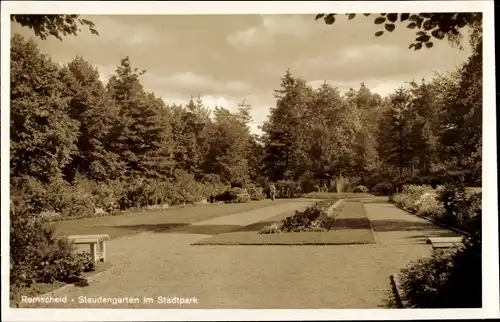 Ak Remscheid im Bergischen Land, Staudengarten, Stadtpark