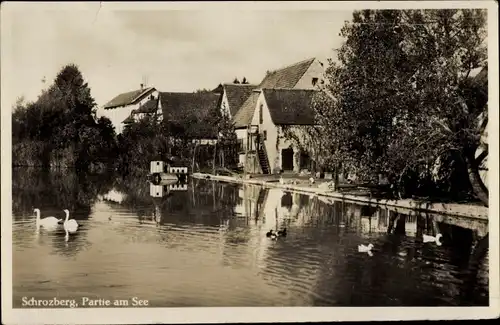Ak Schrozberg in Baden Württemberg, Partie am See