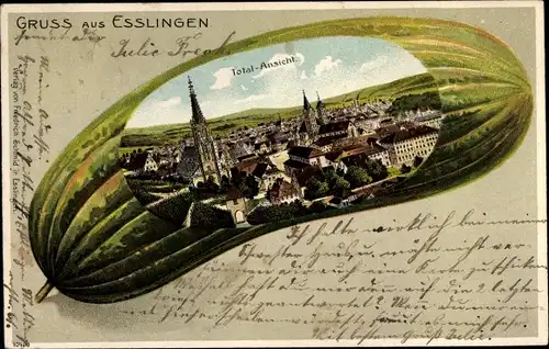 Passepartout Litho Esslingen am Neckar, Gesamtansicht, Gurke