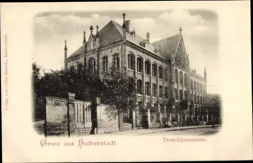 Ak Halberstadt am Harz, Dom Gymnasium